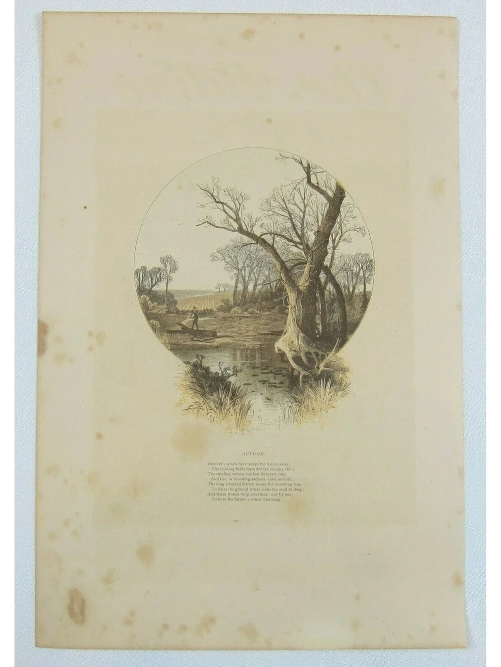 Antique 1870s Engraving Print The Aldine Farm & Stream in Autumn Fall Trees Poem